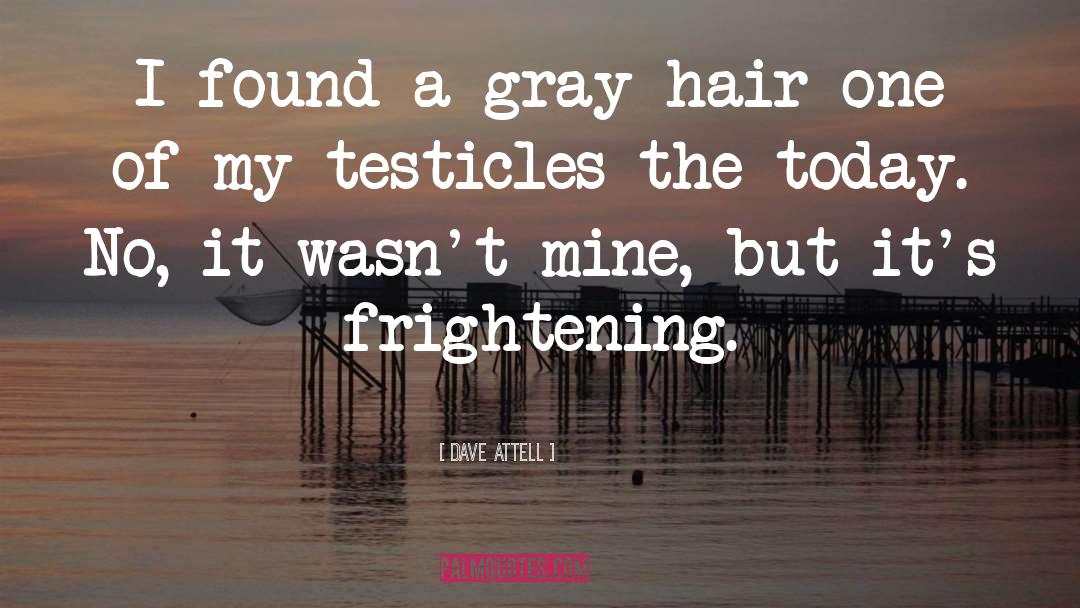 Dave Attell Quotes: I found a gray hair