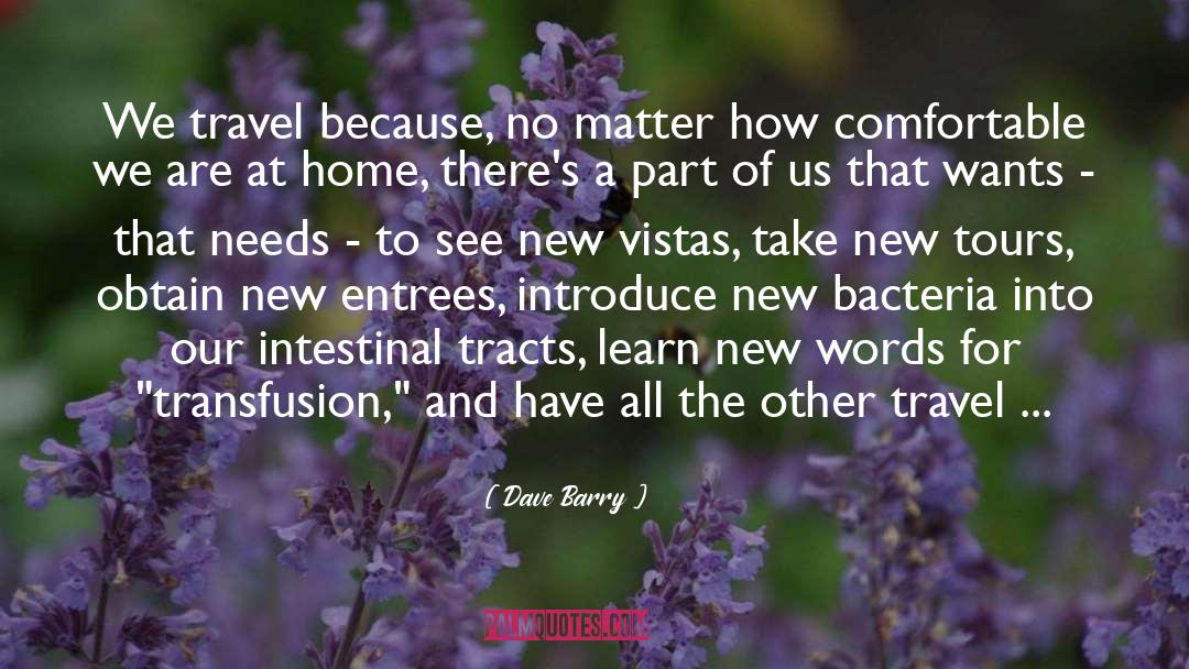 Dave Barry Quotes: We travel because, no matter