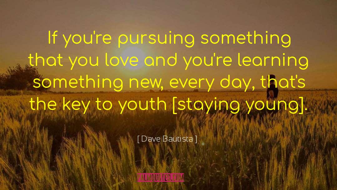 Dave Bautista Quotes: If you're pursuing something that