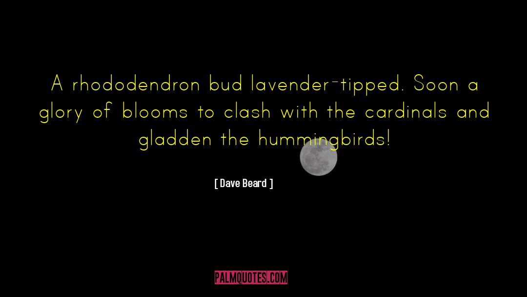 Dave Beard Quotes: A rhododendron bud lavender-tipped. Soon
