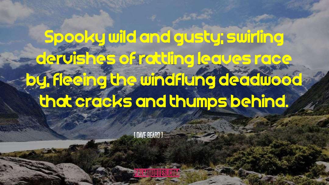 Dave Beard Quotes: Spooky wild and gusty; swirling