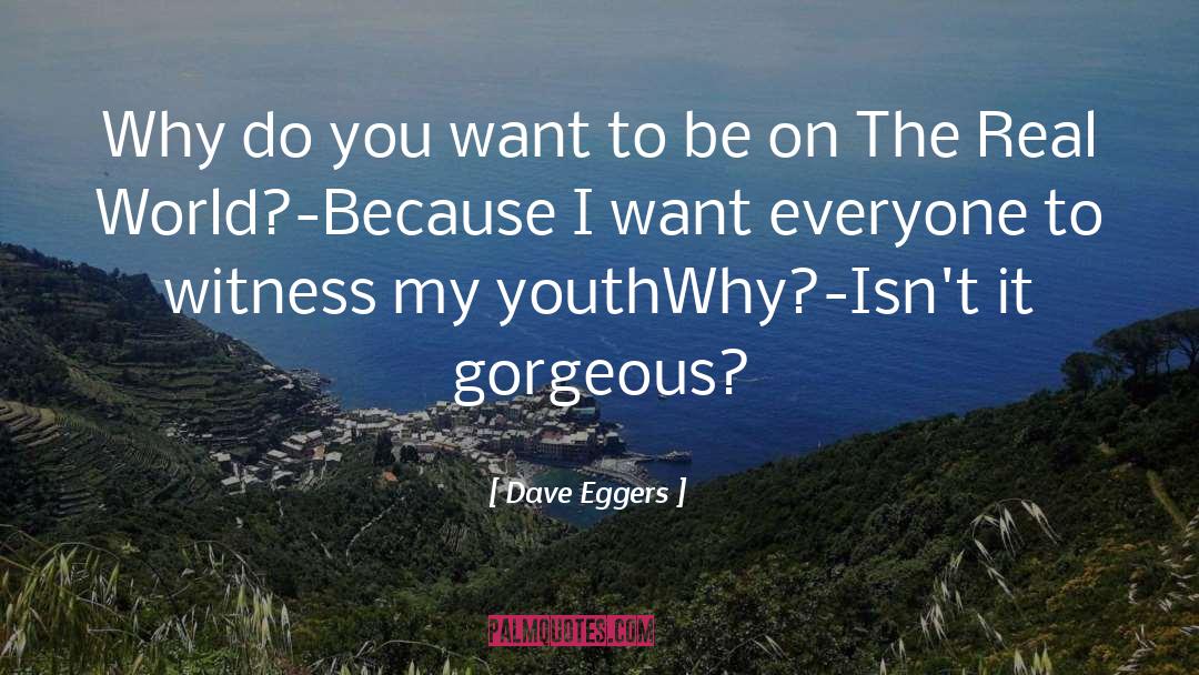 Dave Eggers Quotes: Why do you want to