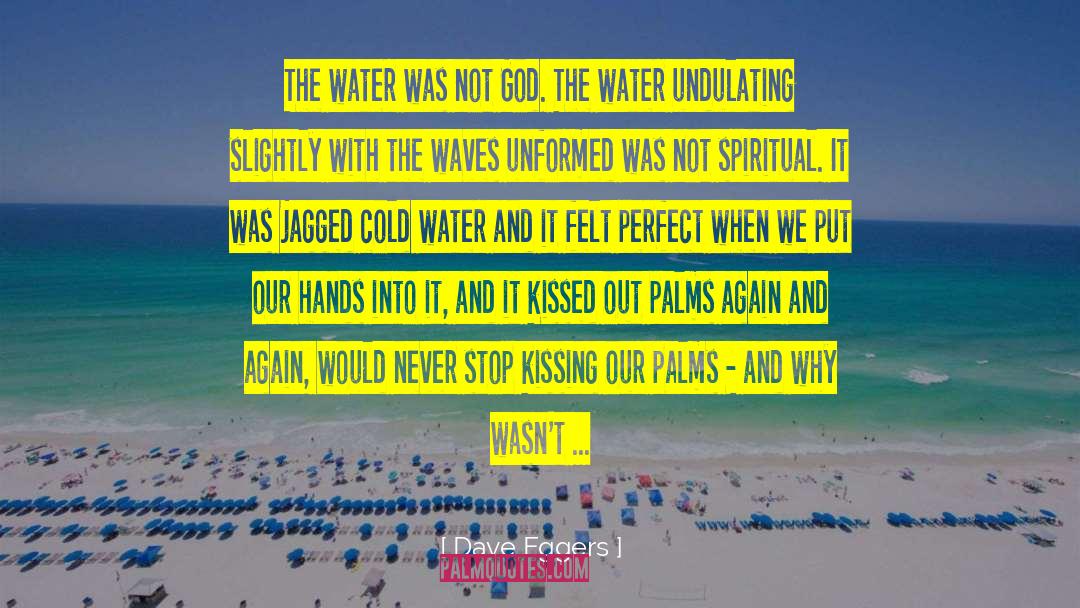 Dave Eggers Quotes: The water was not God.