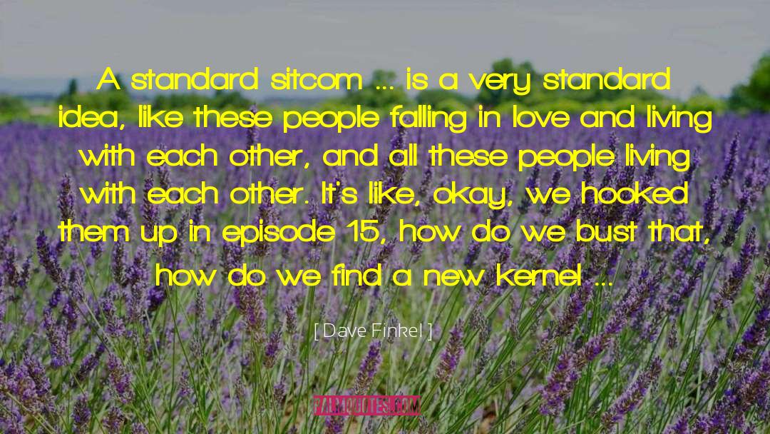 Dave Finkel Quotes: A standard sitcom ... is