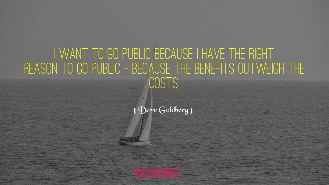 Dave Goldberg Quotes: I want to go public