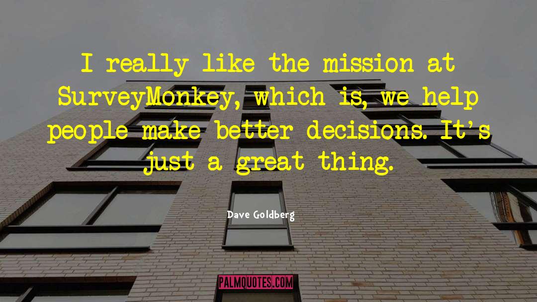 Dave Goldberg Quotes: I really like the mission