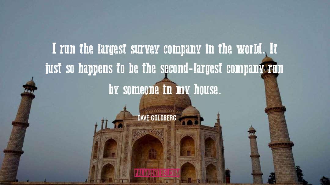 Dave Goldberg Quotes: I run the largest survey