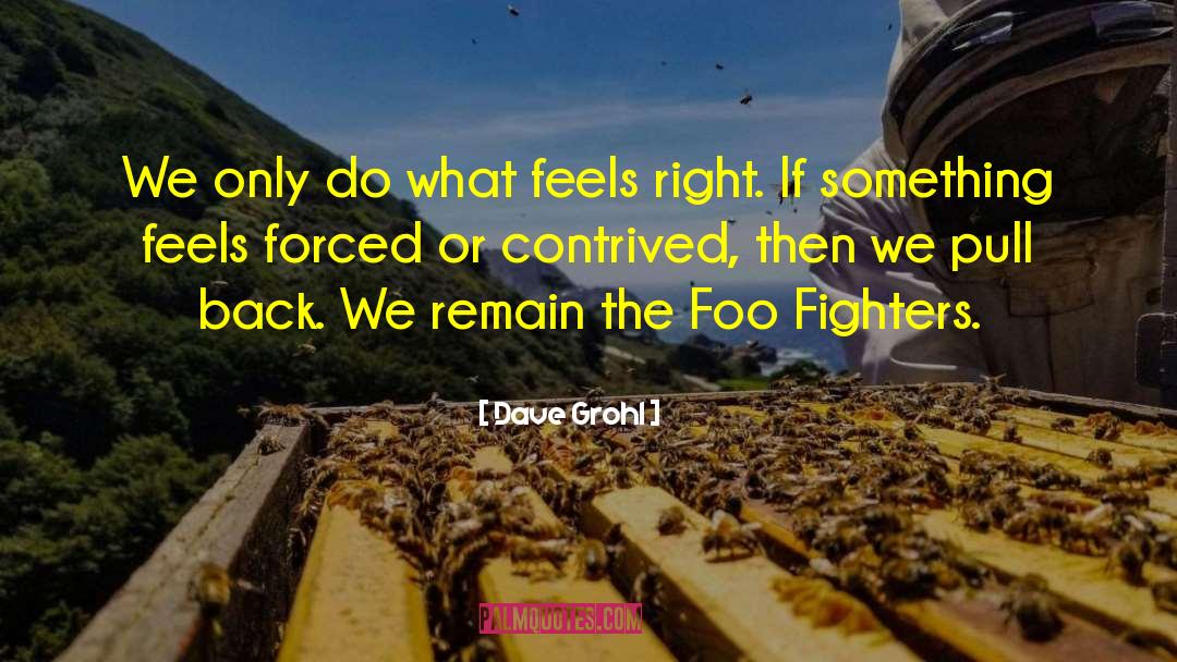 Dave Grohl Quotes: We only do what feels