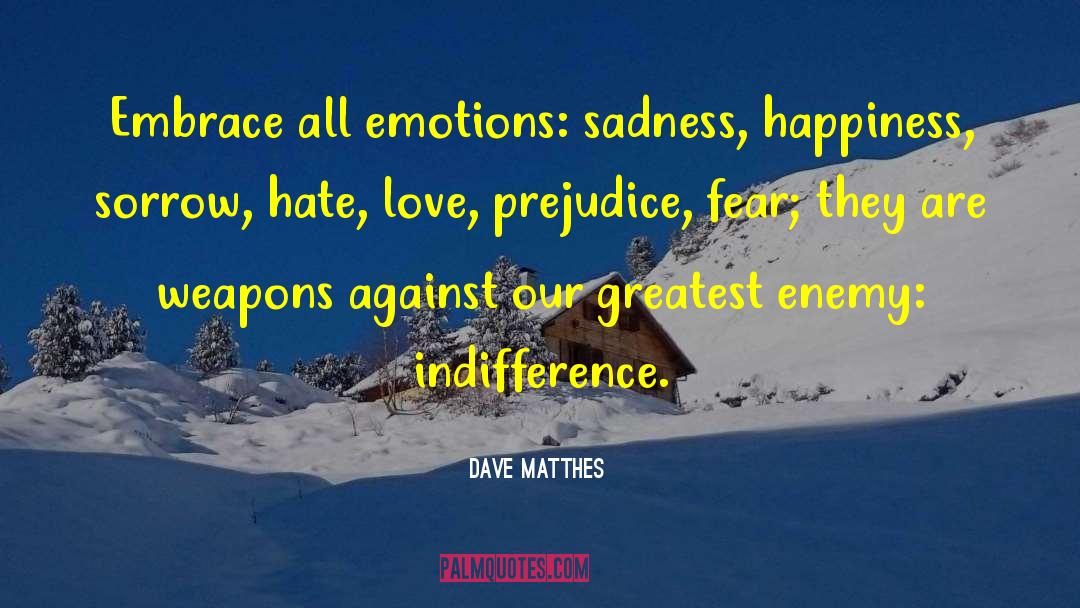 Dave Matthes Quotes: Embrace all emotions: sadness, happiness,