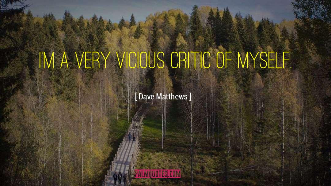 Dave Matthews Quotes: I'm a very vicious critic