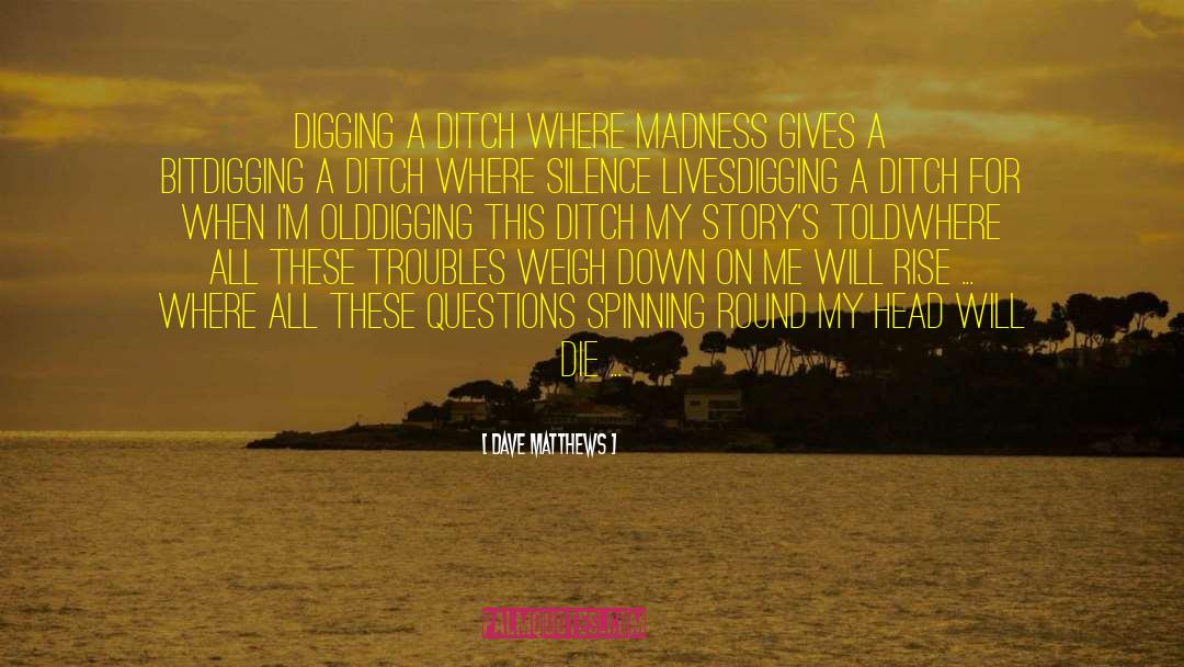 Dave Matthews Quotes: Digging a ditch where madness