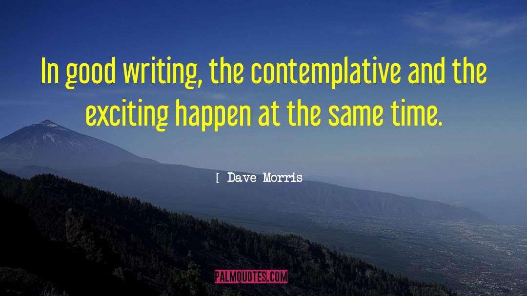Dave Morris Quotes: In good writing, the contemplative