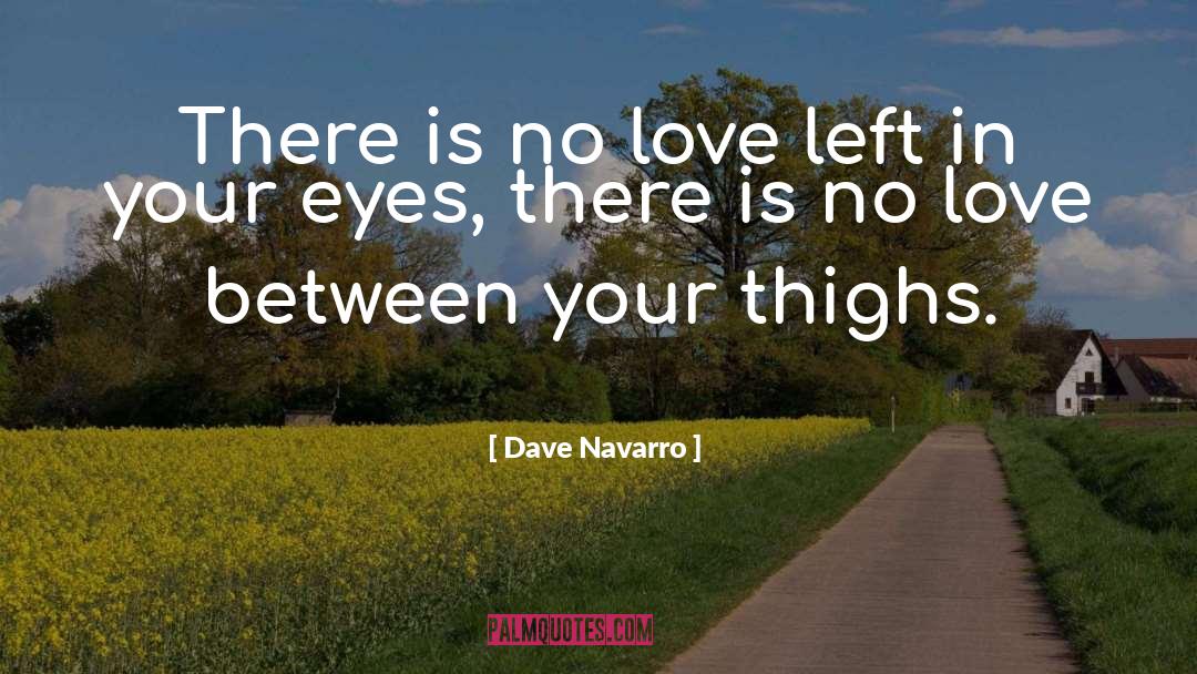 Dave Navarro Quotes: There is no love left