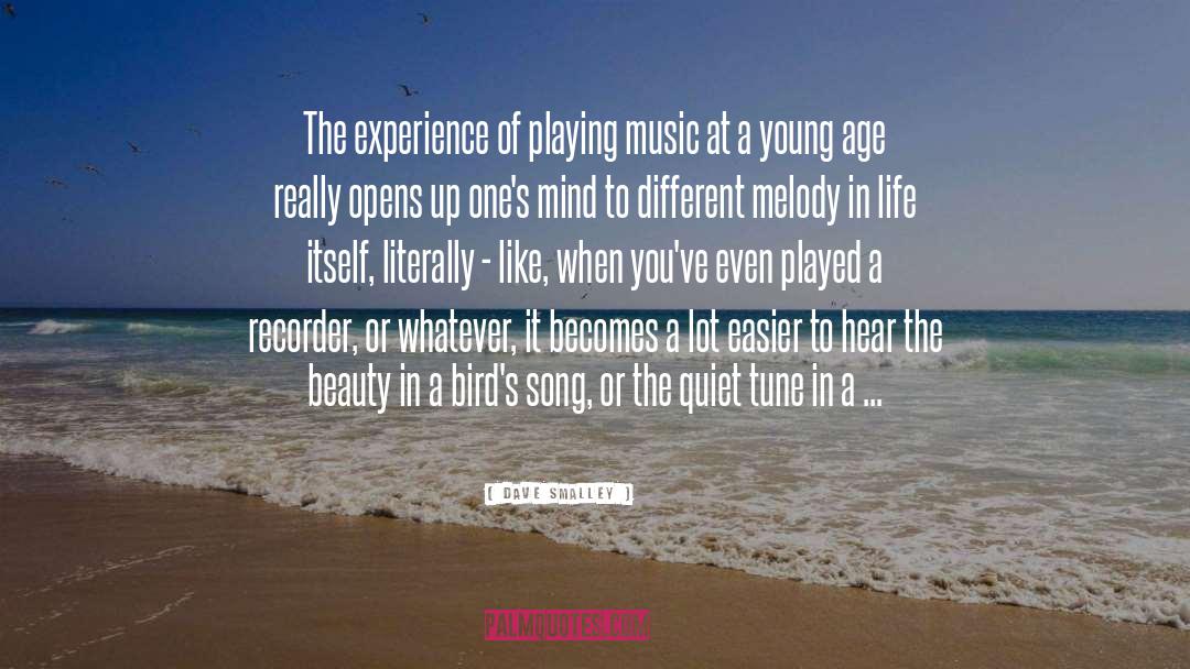 Dave Smalley Quotes: The experience of playing music