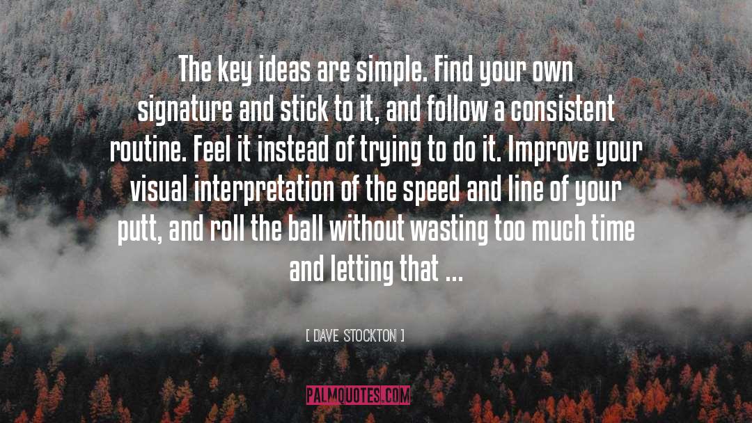 Dave Stockton Quotes: The key ideas are simple.