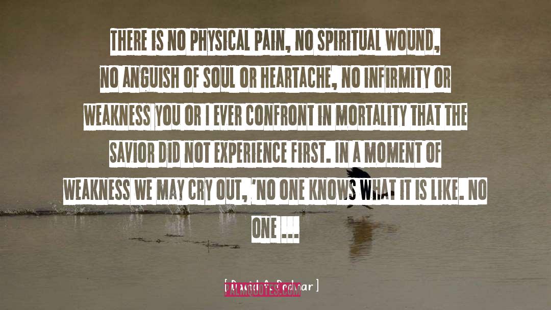 David A. Bednar Quotes: There is no physical pain,