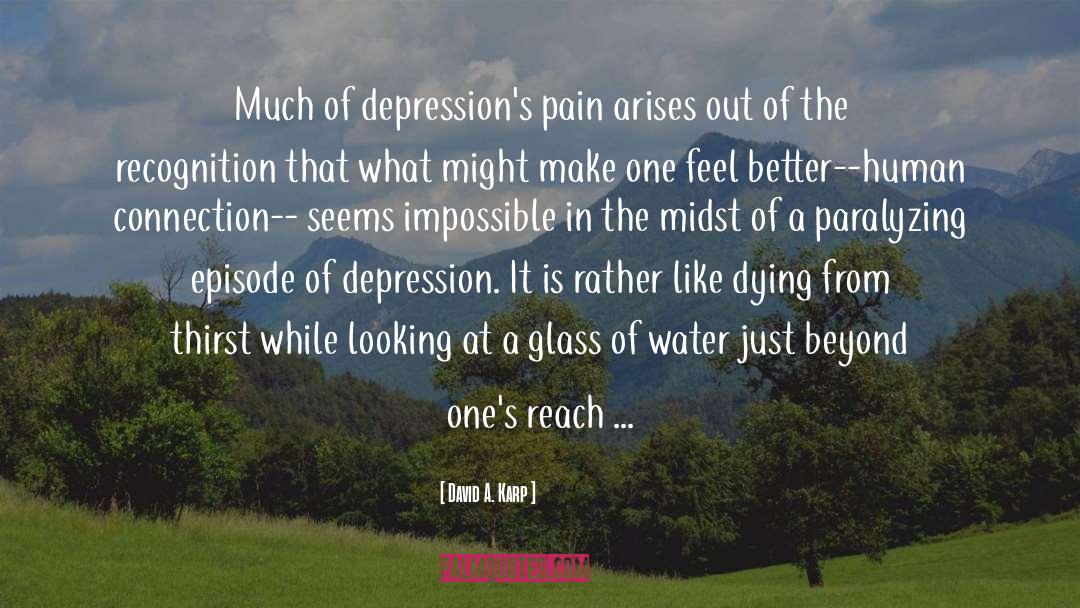 David A. Karp Quotes: Much of depression's pain arises