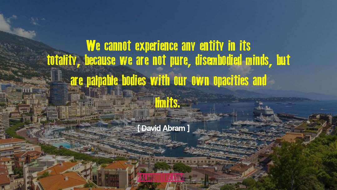 David Abram Quotes: We cannot experience any entity