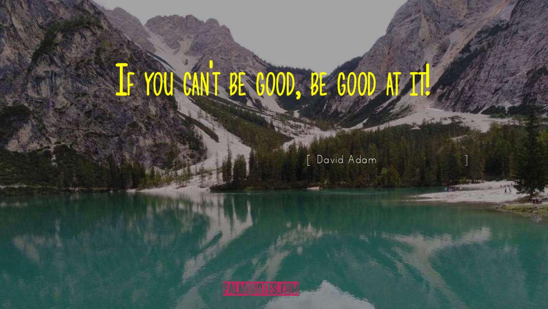 David Adam Quotes: If you can't be good,