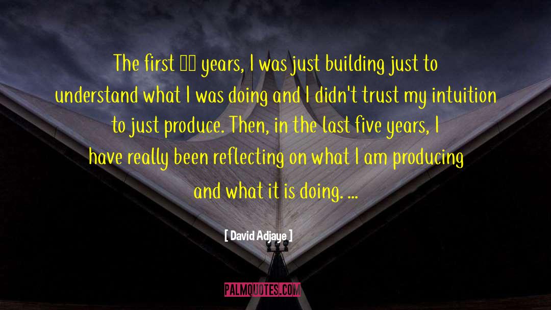 David Adjaye Quotes: The first 10 years, I