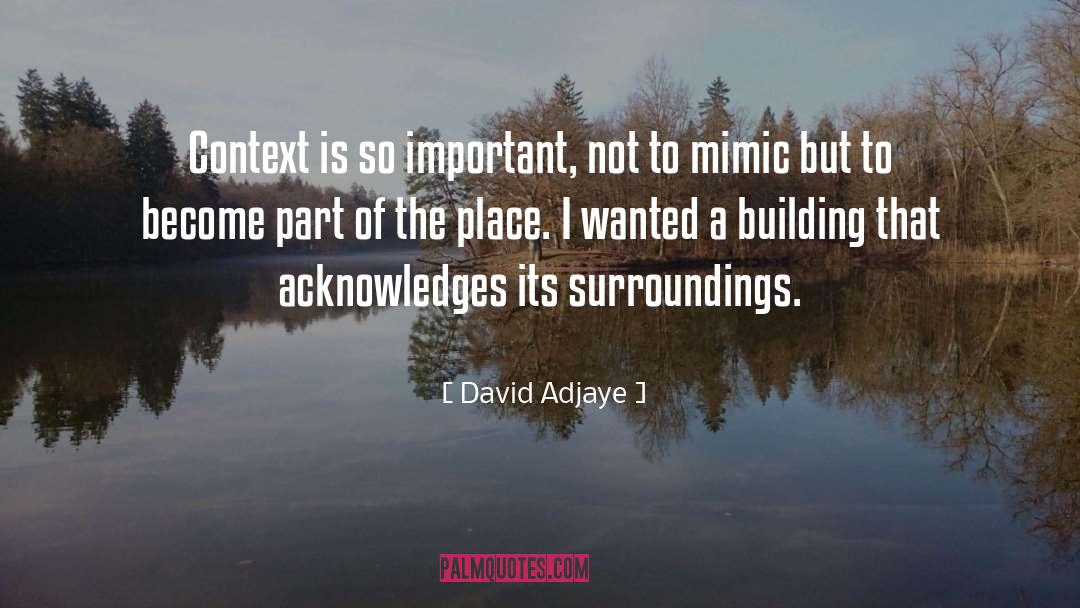 David Adjaye Quotes: Context is so important, not
