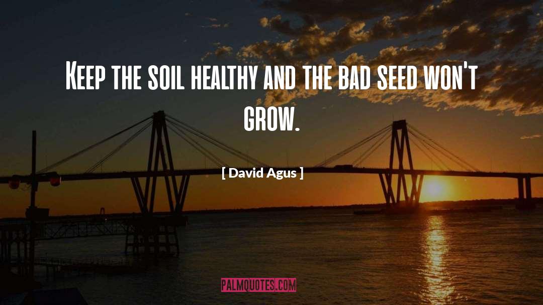 David Agus Quotes: Keep the soil healthy and