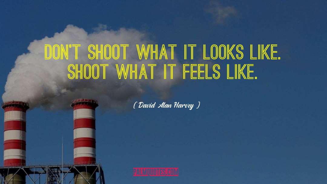 David Alan Harvey Quotes: Don't shoot what it looks