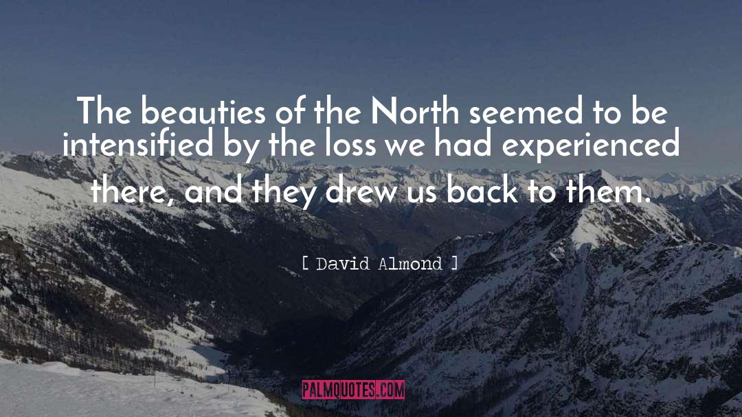 David Almond Quotes: The beauties of the North