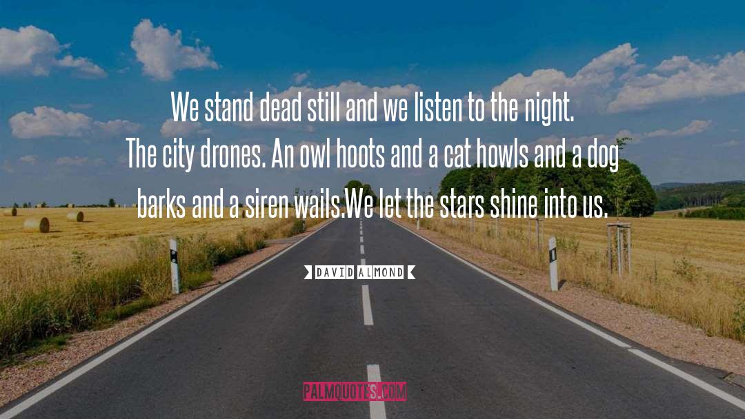 David Almond Quotes: We stand dead still and