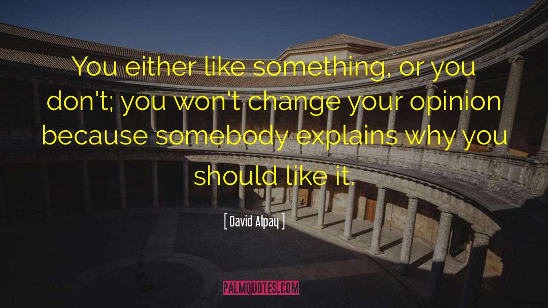 David Alpay Quotes: You either like something, or