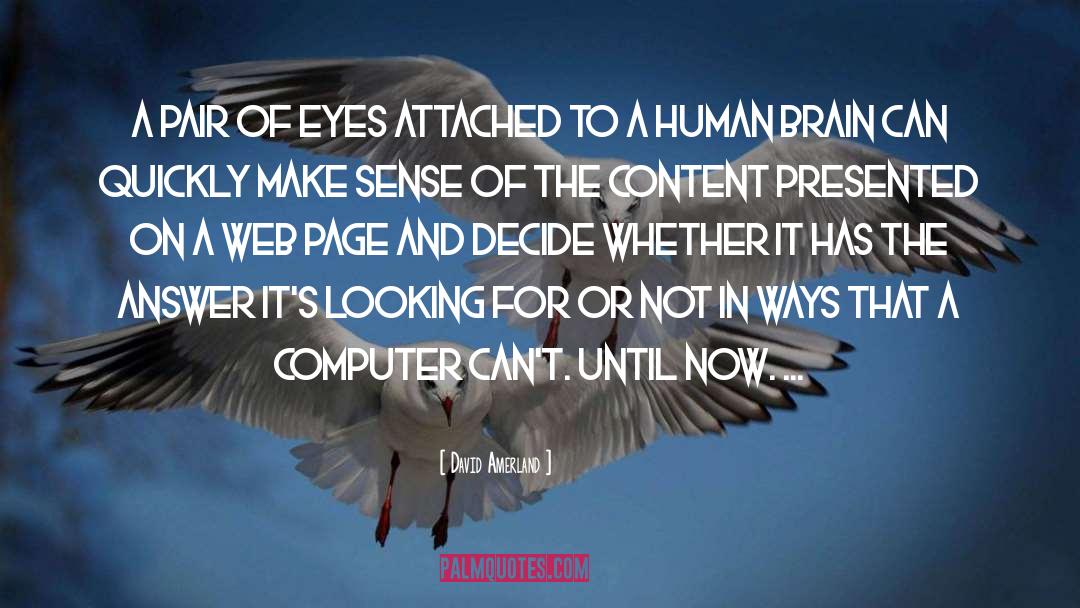 David Amerland Quotes: A pair of eyes attached
