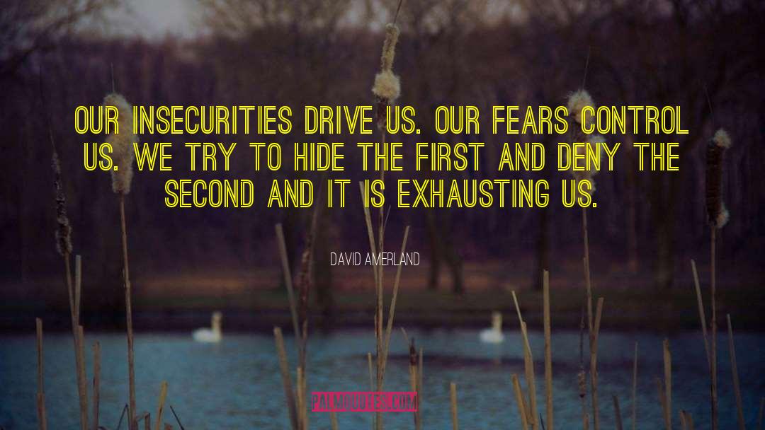 David Amerland Quotes: Our insecurities drive us. Our