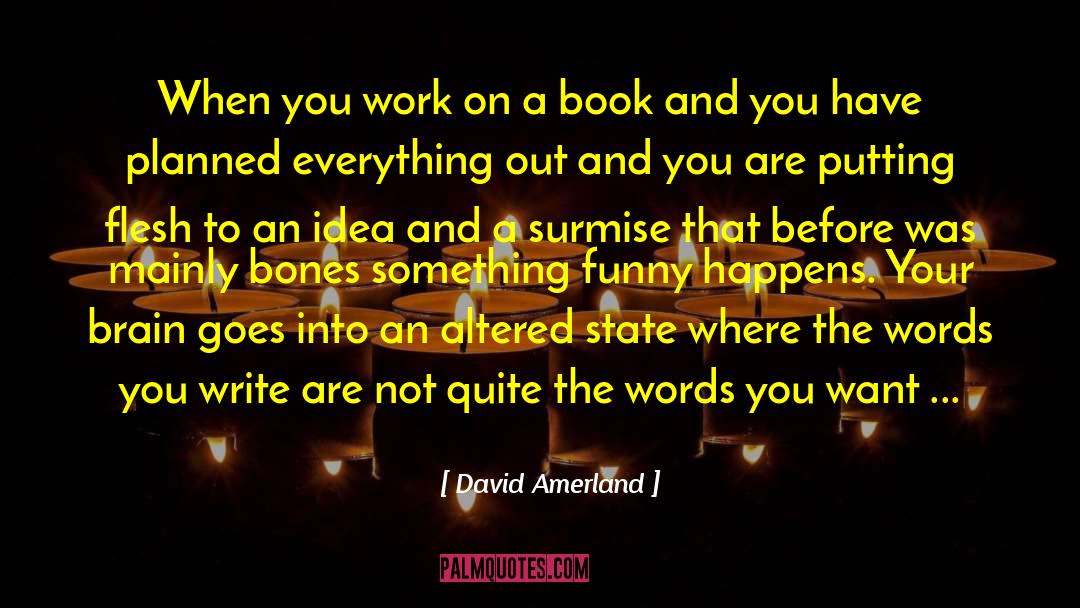 David Amerland Quotes: When you work on a
