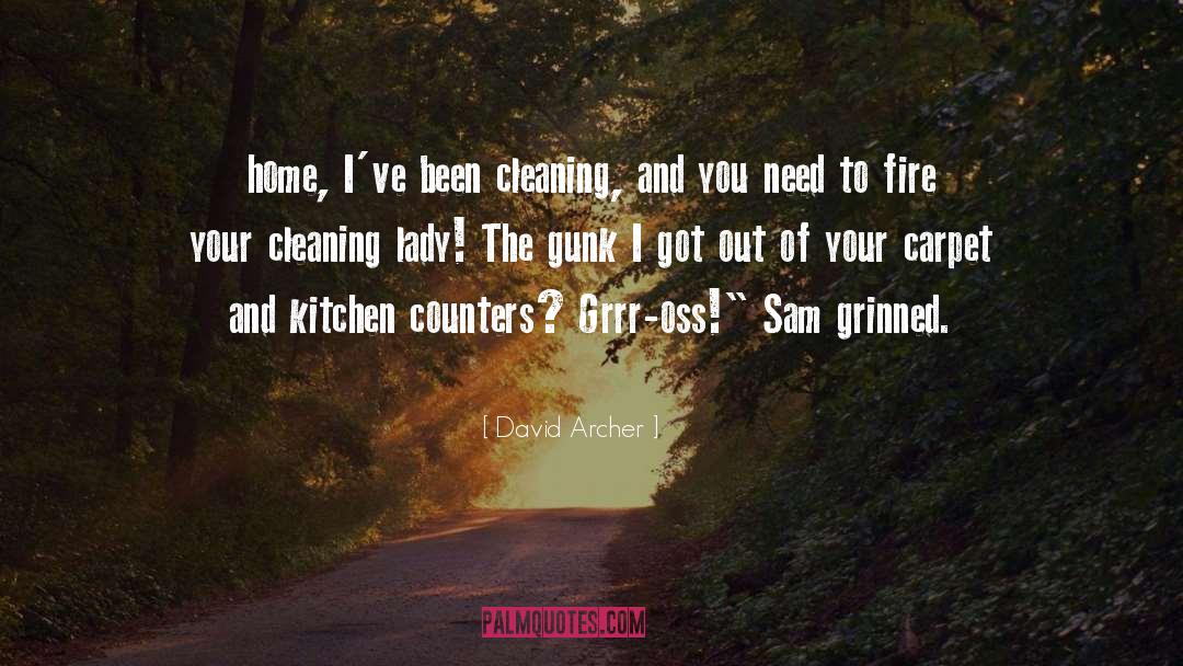 David Archer Quotes: home, I've been cleaning, and