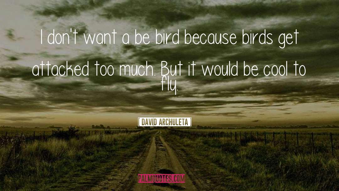 David Archuleta Quotes: I don't want a be