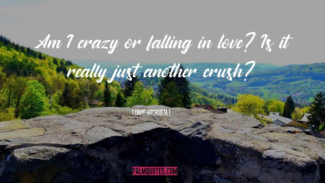 David Archuleta Quotes: Am I crazy or falling