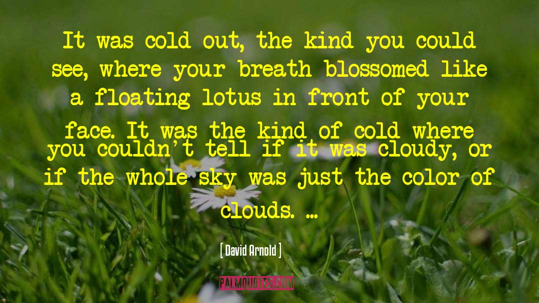 David  Arnold Quotes: It was cold out, the