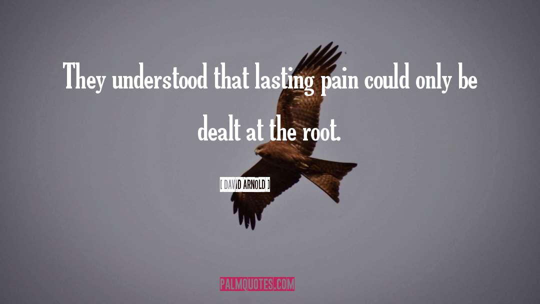 David  Arnold Quotes: They understood that lasting pain