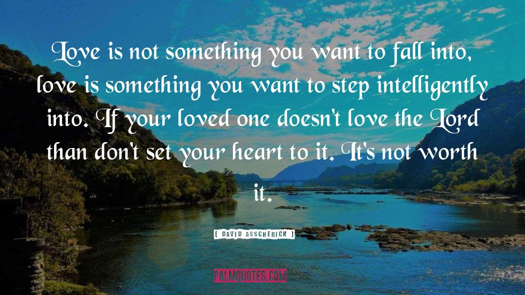 David Asscherick Quotes: Love is not something you