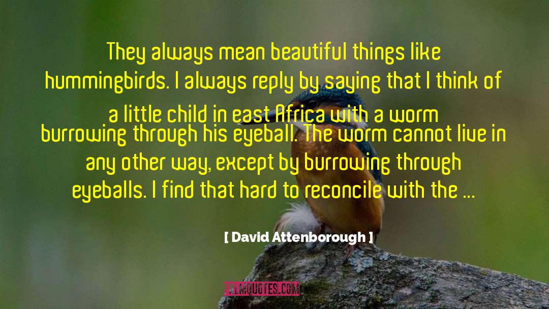 David Attenborough Quotes: They always mean beautiful things