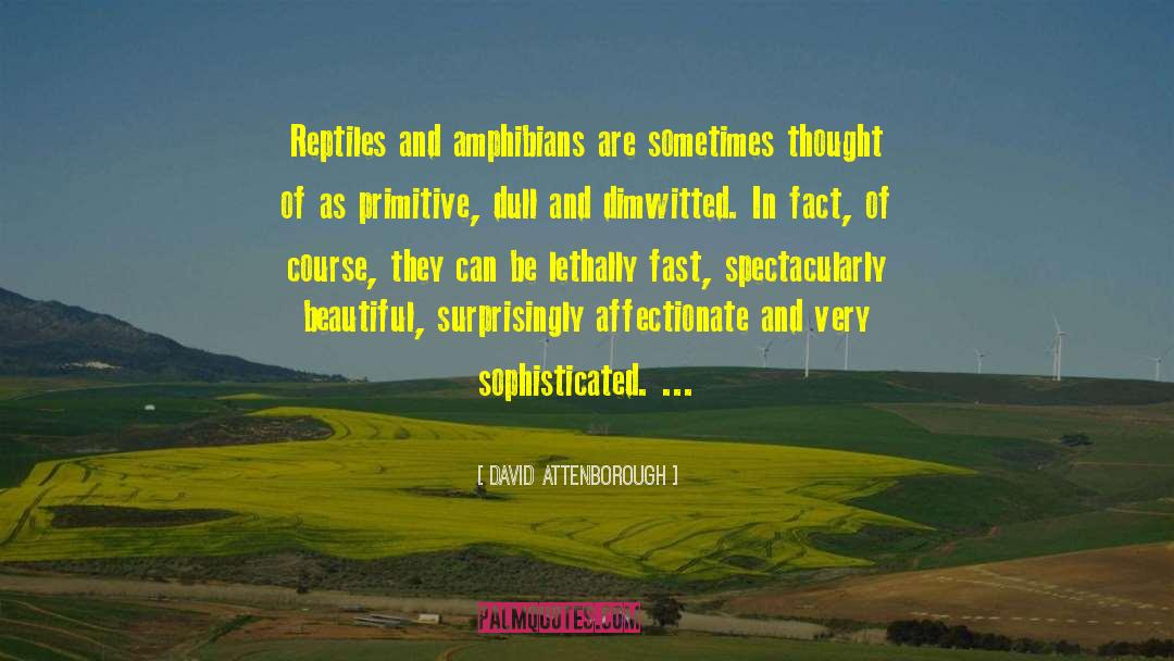 David Attenborough Quotes: Reptiles and amphibians are sometimes