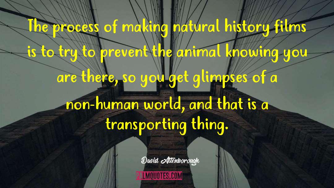 David Attenborough Quotes: The process of making natural