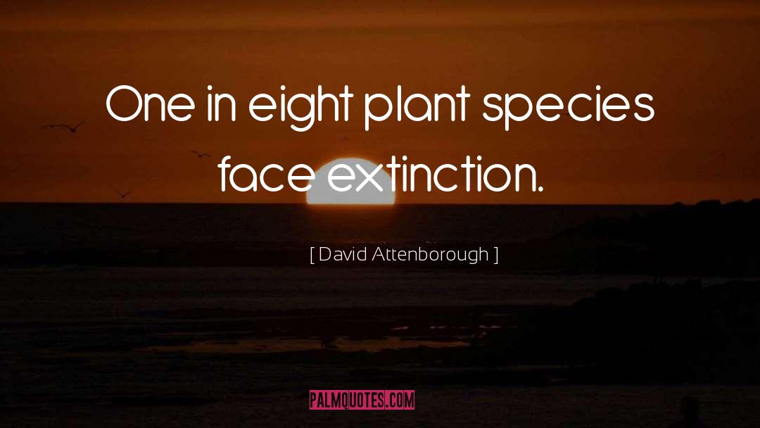 David Attenborough Quotes: One in eight plant species