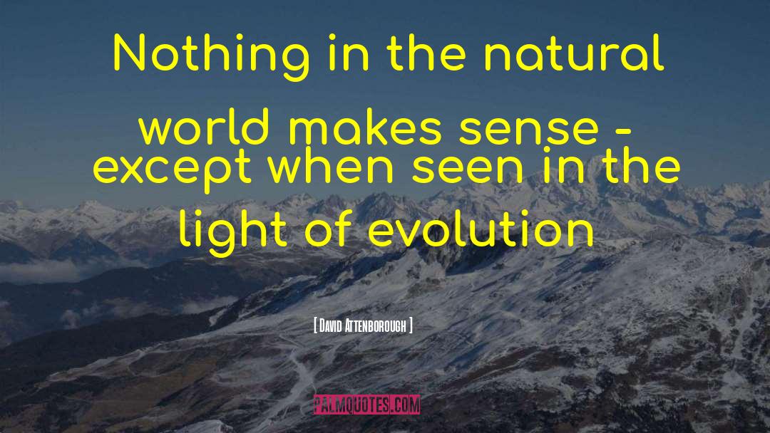 David Attenborough Quotes: Nothing in the natural world