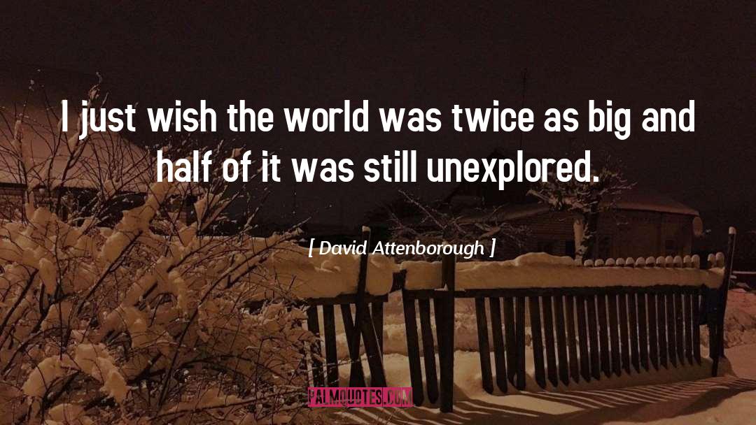 David Attenborough Quotes: I just wish the world