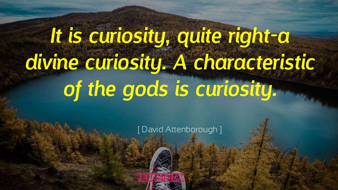 David Attenborough Quotes: It is curiosity, quite right-a