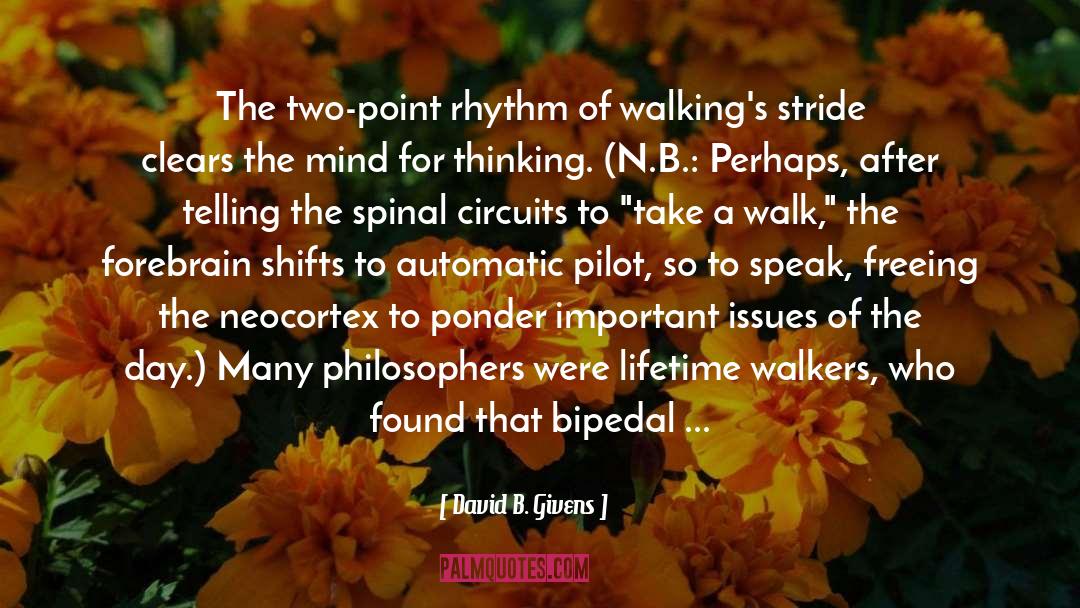 David B. Givens Quotes: The two-point rhythm of walking's