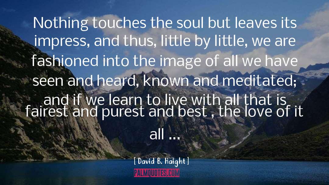 David B. Haight Quotes: Nothing touches the soul but