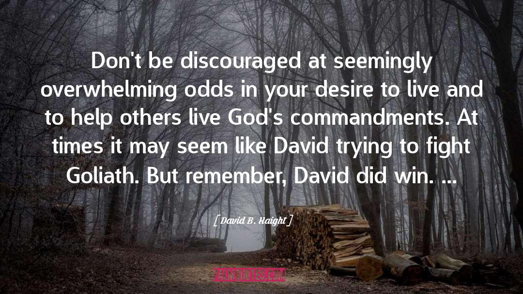 David B. Haight Quotes: Don't be discouraged at seemingly