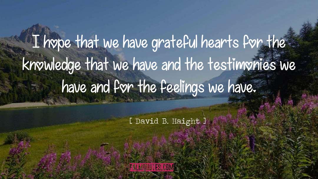 David B. Haight Quotes: I hope that we have